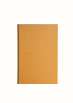 ANDREA IYAMAH I AM TREASURE JOURNAL